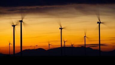 Did the UK Have Its Greenest Year?
