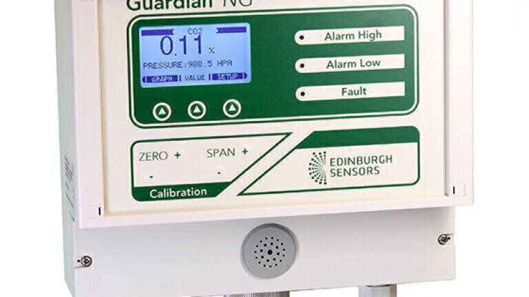 Gas Sensors for the Development of Modified Atmospheric Packaging