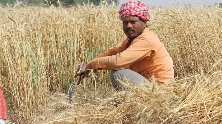 How Is India Helping Farmers with Air Pollution?