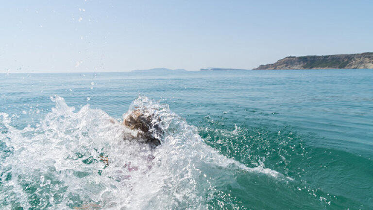 How Much Are the Oceans Warming?