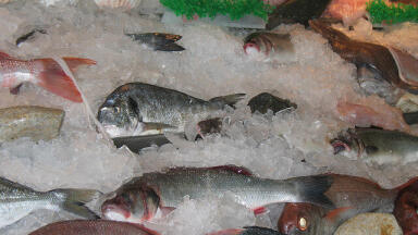 How Did the Chinese Oil Spill Affect Fishing?
