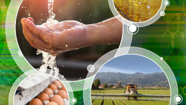 Direct analysis of polar pesticides without derivatization