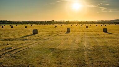 How Will Brexit Affect UK Farming?