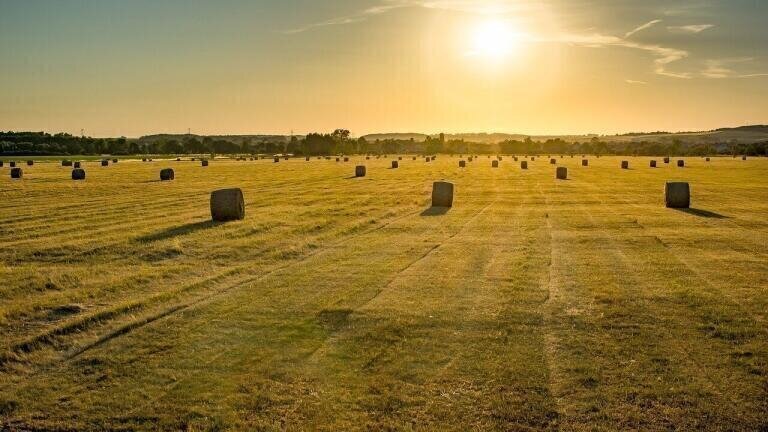 How Will Brexit Affect UK Farming?