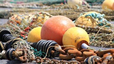 How Much of Our Water Is Covered by Fishing?