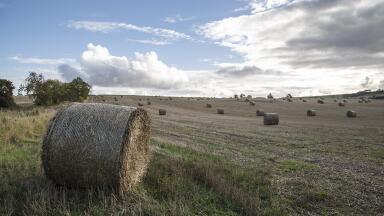 Can Drones Help Crack Down on Bad Farming?