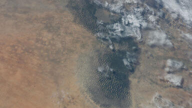 Can Lake Chad Be Saved?