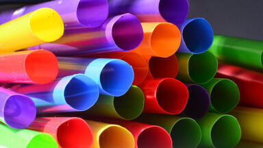 What Should You Swap to Help the Environment?