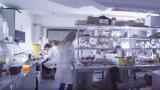 Advances in GC-MS systems to revolutionise routine analysis