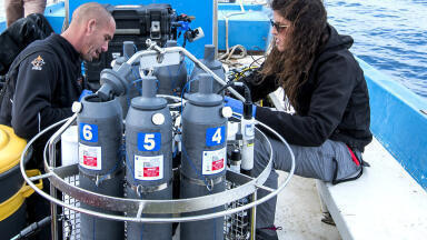 Ultra-low nutrient levels in the Mediterranean