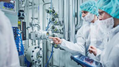 A good year for Endress+Hauser