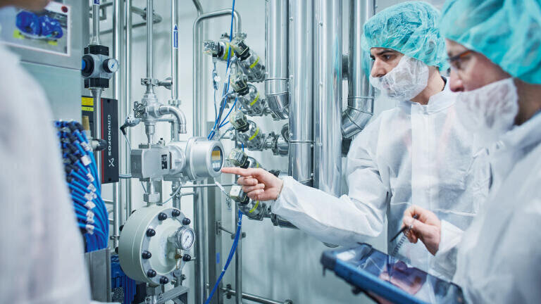 A good year for Endress+Hauser