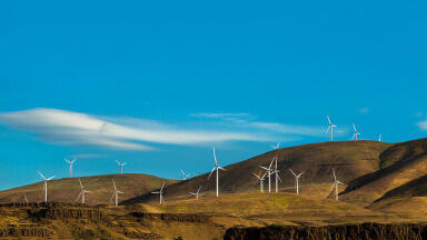 How Much Renewable Power Does the World Use?