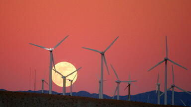 Who Will Benefit from the Renewable Revolution?