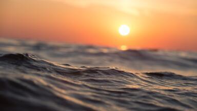 How Much of our Oceans Have We Damaged?