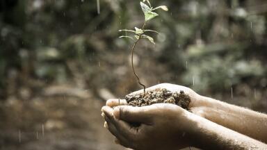 How Can Soil Quality Slow Global Warming?