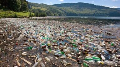 Tired of Throwing Away Disposable Sensors?
