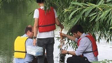 State of the art water chemical sensor technology