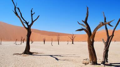 How Does Drought Impact CO2 Levels?