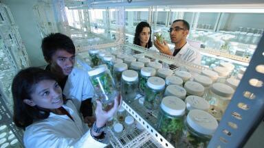 Are Scientists Split on Climate Change?