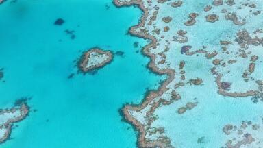Is the Great Barrier Reef on the Mend?