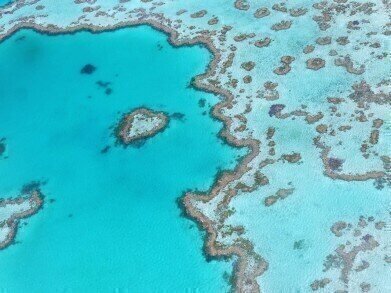 Is the Great Barrier Reef on the Mend?
