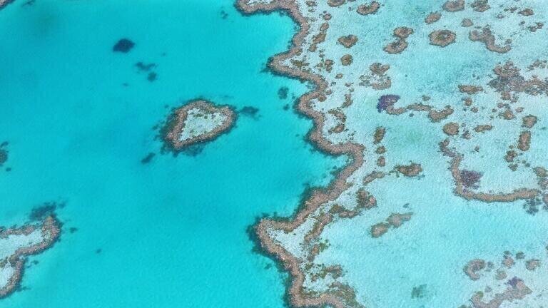 Is the Great Barrier Reef on the Mend?