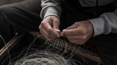 What Is World Fisheries Day and Why Does it Matter?