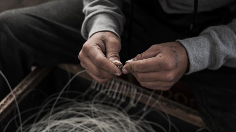 What Is World Fisheries Day and Why Does it Matter?