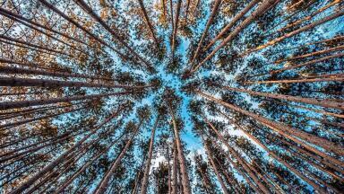 Will 2019 Be a Turning Point for the Environment?