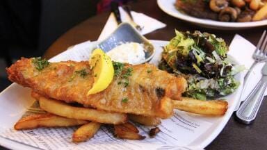 DNA Barcoding Finds Endangered Shark in UK Fish and Chips