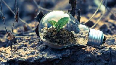Understanding the Importance of TOC in Environmental Science