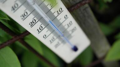 Why Are Mercury Emissions Harmful?