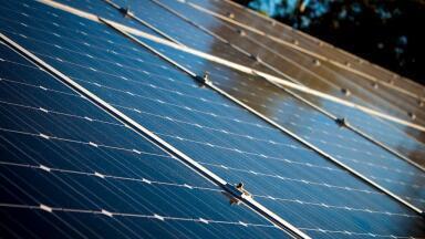 What Is Biosolar Leaf Technology?