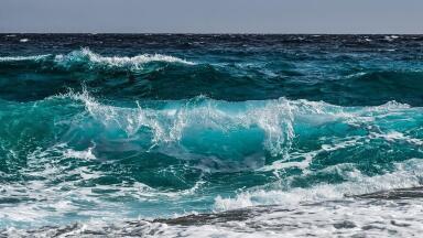 Why Do Viruses Matter in the Ocean?