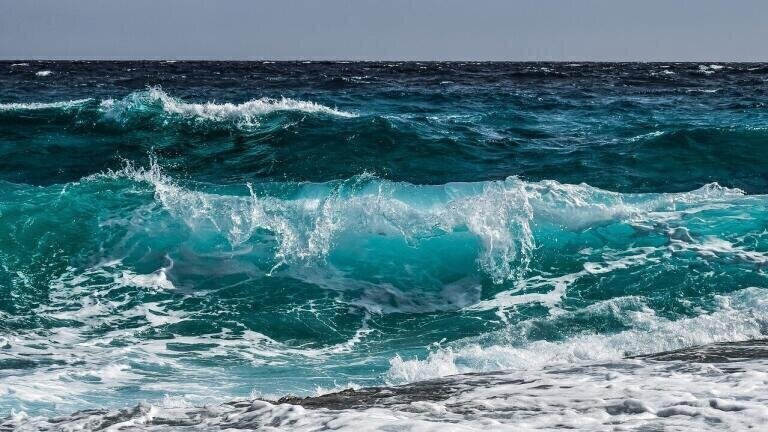 Why Do Viruses Matter in the Ocean?