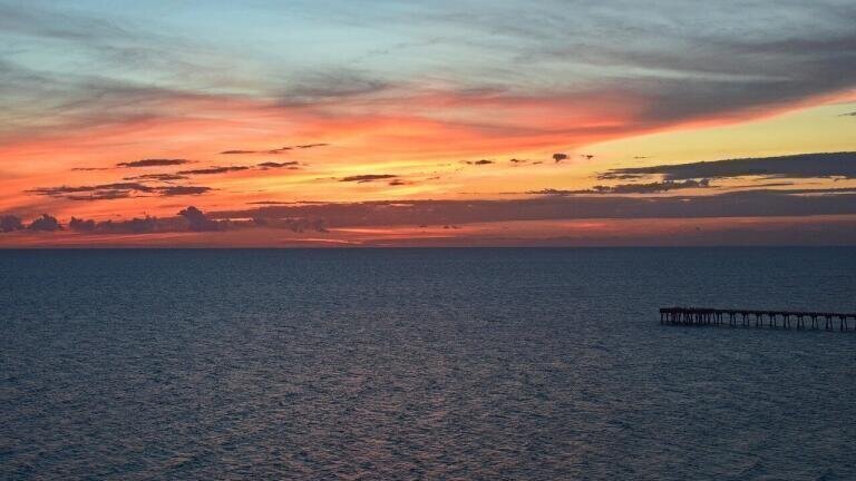 What Is the Gulf of Mexico's 'Dead Zone'?