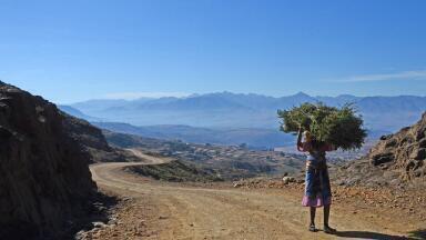 Which Countries Are Doing the Least to Save the Environment?