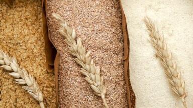 Gas Monitoring Issues Faced in Cereal Storage