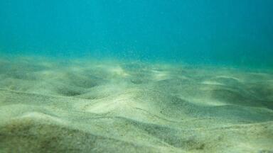 What Is Deep Sea Mining?