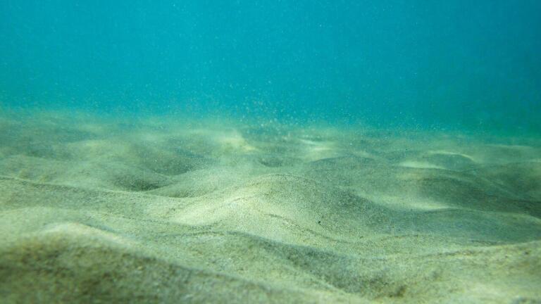 What Is Deep Sea Mining?