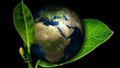 Do Consumers See 'Green' Products as Less Effective?
