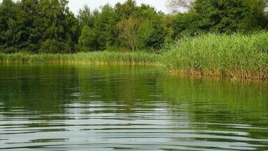 Are We Facing a Water Pollution Crisis?