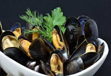 Can Mussels Reduce Water Pollution?