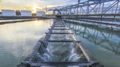 The Role of Gas Sensing as a Drinking Water Purification Method