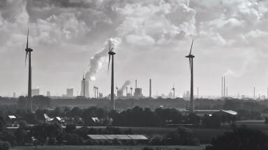 How Have Carbon Emissions Changed in 2019?
