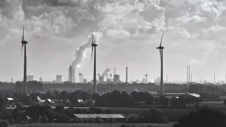 How Have Carbon Emissions Changed in 2019?