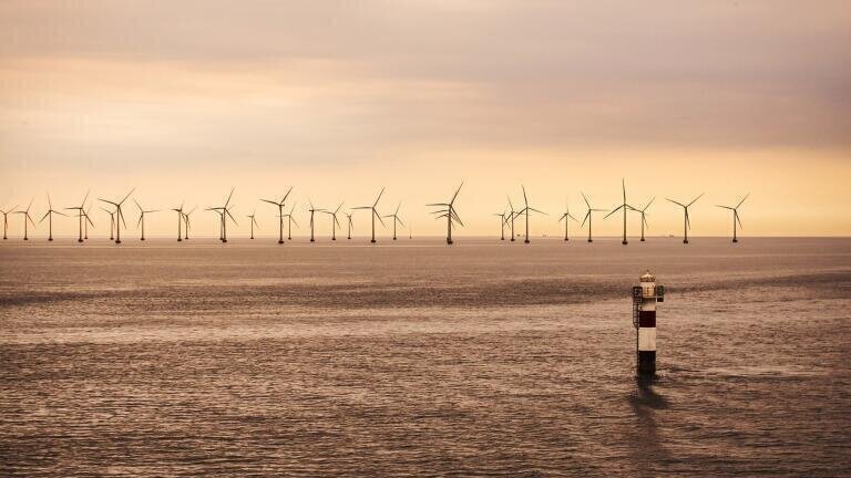 How Does Offshore Energy Affect Marine Life?