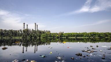 What Are the Different Types of Water Pollution?