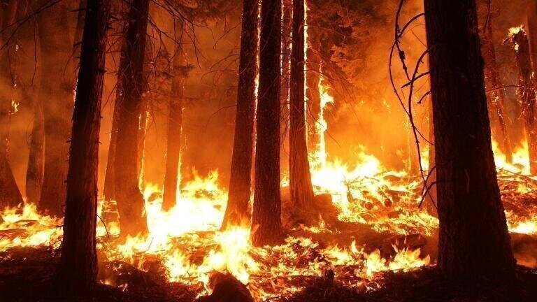 How Far Does Wildfire Pollution Spread?
